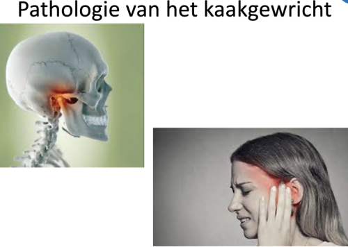 Gnathologie