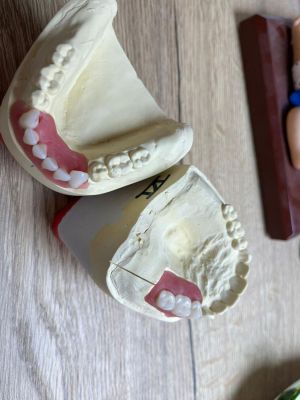 Gysi-opstelling voor beginners